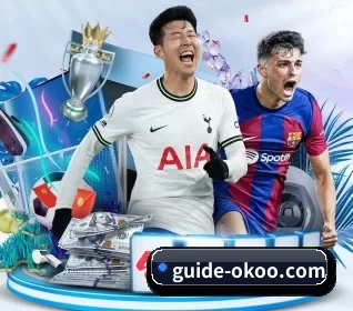 guide-okoo.com的方向 - aoko